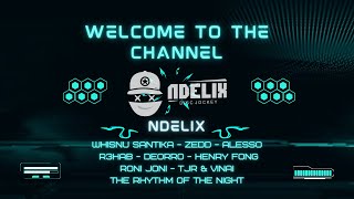 DJ Ndelix Mixtape 2024  Whisnu Santika Zedd Alesso R3hab  The Rhythm of the Night EDM Hits [upl. by Alcinia]