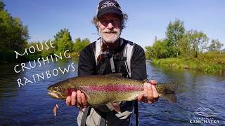 Kamchatkas Finest Fly Fishing [upl. by Hands]