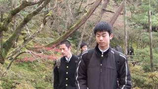 Kyoto Japan  Ginkakuji Philosophers Path Honenin Heianjingo part 2 [upl. by Rorrys311]