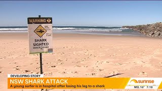 Surfer Mauled by 3 Meter Great White Shark [upl. by Blinnie]