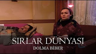 Sırlar Dünyası  DOLMA BİBER [upl. by Nnairrehs]