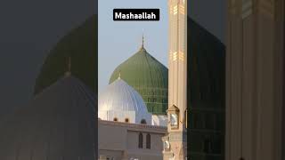 Masjid e Nabawi love ❤️ short status [upl. by Nali]