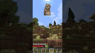 Echolocation at its FINEST 🐋  gaming minecraft twitch twitchstreamer smp [upl. by Nolyd]