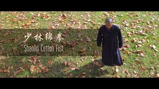 Shaolin Cotton Fist 少林绵拳 by Master Shi Yandi 释延荻 at Stanley Park [upl. by Mayer274]