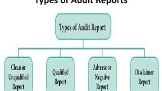 Auditing Types of Audit Reports [upl. by Assened]