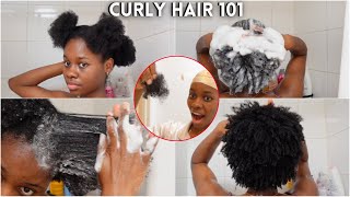 4C Natural hair wash day routine for beginners  No breakage  Beginners guide to thick amp curly 4c [upl. by Carver678]