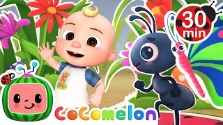 Ants Go Marching Dance  More Nursery Rhymes amp Kids Songs  CoComelon [upl. by Eibba]