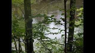 18 08 24 mile 128 Lehigh river Lehigh Gorge park [upl. by Lathrope]