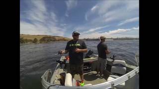 walleye fishing on the columbia river umatilla oregon [upl. by Novelia]