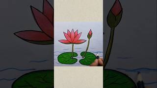 Water Lily drawing shorts waterlily Shorts viral tranding [upl. by Ahseined]