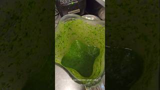 How to make Michelin quality parsley oil or any different herb oilschefcommunity cheftalent food [upl. by Idonna]