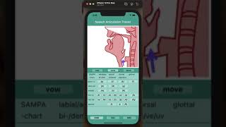 Speech Articulation Trainer 401 Approximants and lateral approximate [upl. by Eimmot]