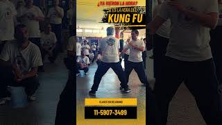 Pek Choy una Técnica Demoledora de Kung Fu claseskungfu kungfutradicional kungfuargentina [upl. by Tekcirc]