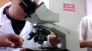 Aula Microscopia Professor Valdemir Mirandawmv [upl. by Gershon]