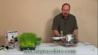 Harvesting amp Juicing Wheatgrass  Wheat Grass Juice [upl. by Liana]