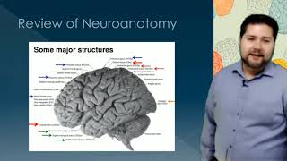 Neuropathology Lecture [upl. by Kimmie]