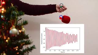 Physics experiment at home measure oscillations of a pendulum with a camera and a computer [upl. by Ahsenik900]