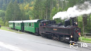 Feistritztalbahn FTB – HerbstFahrtag BirkfeldKoglhof mit U8 01102022 [upl. by Atinrahs]