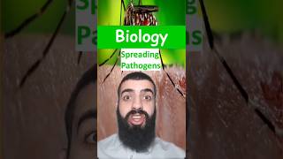 Spreading Pathogens  GCSE Science in a minute biology stem school highschool london pathogen [upl. by Keyes563]