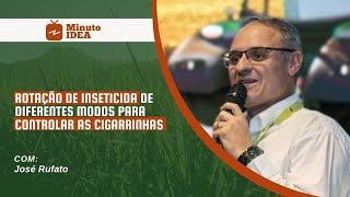 MANEJO DE CIGARRINHA E SPHENOPHORUS DE UMA SÓ VEZ  JOSÉ RUFATO [upl. by Ahker]