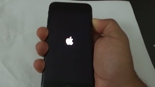 HOW TO HARD RESET IPHONE 7788Xs [upl. by Earej]