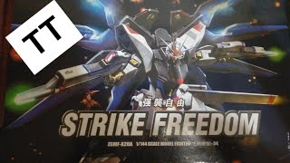 hg strike freedom gundam TT [upl. by Lsil232]