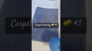 Carpet cleaning and ASMR cleaning clean cleaningmotivation [upl. by Roxane758]