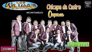 Los Wilmars En Vivo Chicapa de Castro Oaxaca [upl. by Cchaddie]