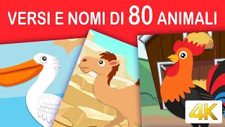 Versi ed i nomi dei 80 animali selvatici e domestici in italiano  4K [upl. by Isawk995]