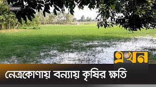 নেত্রকোণায় বন্যায় কৃষির ক্ষতি  Netrokona News  Ekhon TV [upl. by Silber]