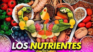 Los NUTRIENTES ¿Sabías que una ALIMENTACIÓN EQUILIBRADA puede CAMBIAR TU VIDA por completo ADELGAZA [upl. by Cairistiona]