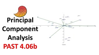 Principal Component Analysis PCA  Ordination Analysis  Past 406b [upl. by Yelhs]