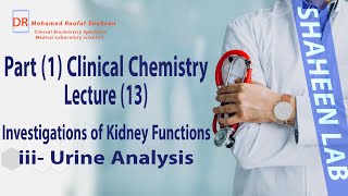 Clinical chemistry  Lecture 13  Investigations of Kidney functions 2   Clinical Pathology Course [upl. by Cordelie]