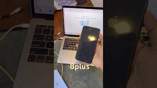 iPhone 8 Plus camera test 8 plus portrait camera iphone8plus smartphone apple iphoneshorts [upl. by Ocsisnarf]