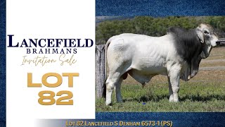 Lot 82 Lancefield S Denham 6573  1 PS [upl. by Enelez]