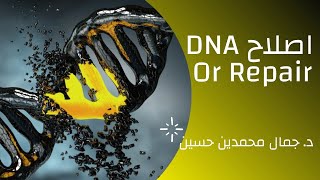 Repair of DNA إصلاح الدنا [upl. by Lobiv847]