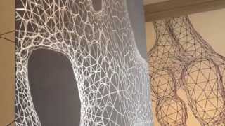 Geometric Biomorphic Wall Drawing Installation Timelapse at PMA [upl. by Dnomsad]