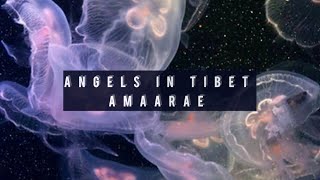 Angels in Tibet  Amaarae Instrumental [upl. by Nahshon]