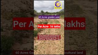 60 Acres Garden amp plain Land Agricultural land sale Puttaparthi district AP Penugonda17 km [upl. by Wulfe]