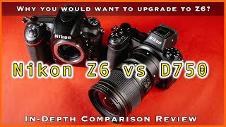 Nikon Z6 vs D750  InDepth Comparison Review [upl. by Anwahsak]