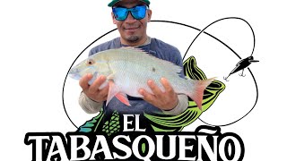 🔴Pesca variada con carnada [upl. by Bevash]