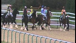 JOEY wins the Maiden Stakes For Shires at Lingfield 150613 [upl. by Sedaiuqlem391]