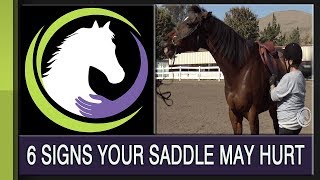 Top 6 Signs Your Saddle may be Hurting Your Horse [upl. by Ranit]