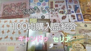 【購入品・収納】100均購入品紹介の後収納もしていく！｜キャンドゥ｜セリア [upl. by Adnalram]