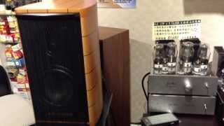 Sound Master KT66 No79 推動 Sonusfaber Bookshelf Speaker [upl. by Threlkeld]