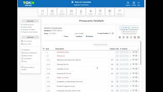 TOKN  Cargar propuesta desde excel [upl. by Rasia]