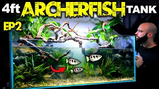 Building An EPIC 4ft Archerfish Paludarium  Aquaterrarium EP2 [upl. by Margo]