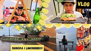 IL TEMPO dei LIMONI 🍋🍋🍋 Vlog settimana 5 [upl. by Irina]