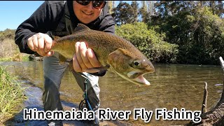 Hinemaiaia River Fly fishing [upl. by Ecitsuj626]