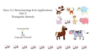 Transgenic Animals  Biotechnology and its Applications Part 5  Class 12 [upl. by Jago]